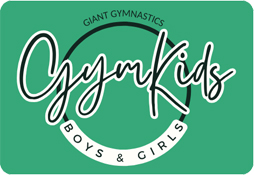 Boys & Girls Gymnastics 6years-adult